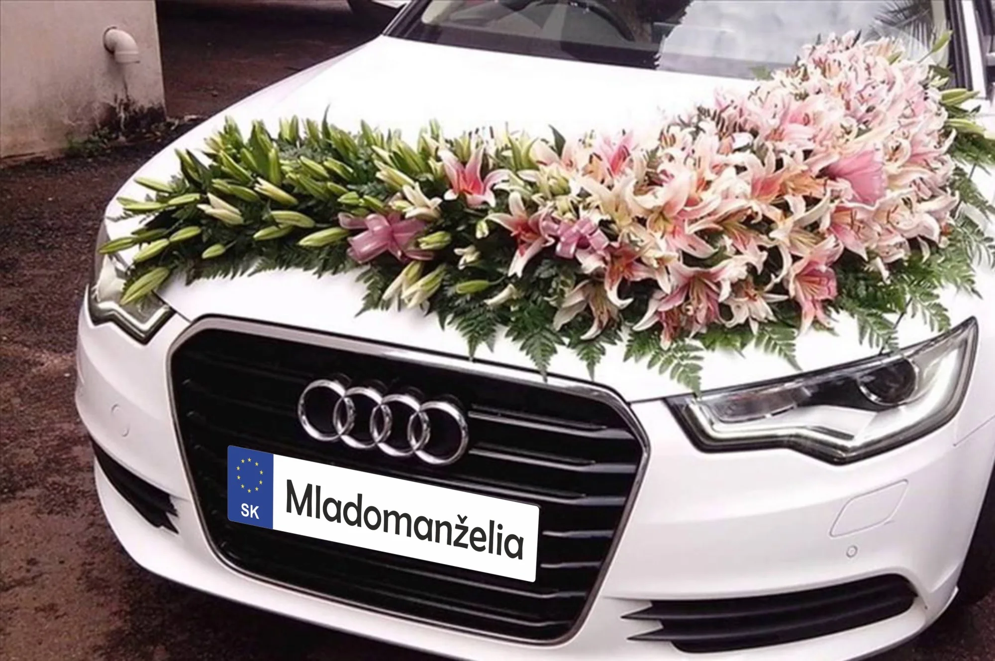 ŠPZ Mladomanželia